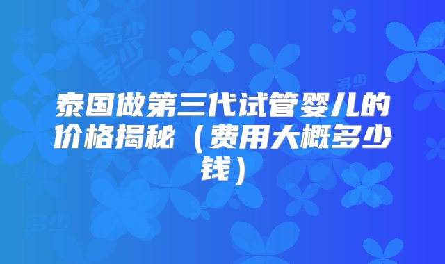 泰国做第三代试管婴儿的价格揭秘（费用大概多少钱）