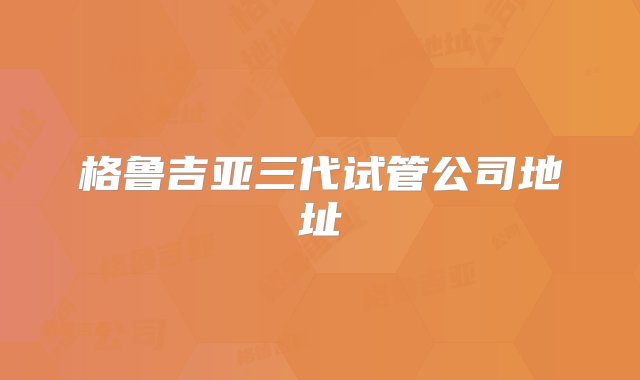 格鲁吉亚三代试管公司地址