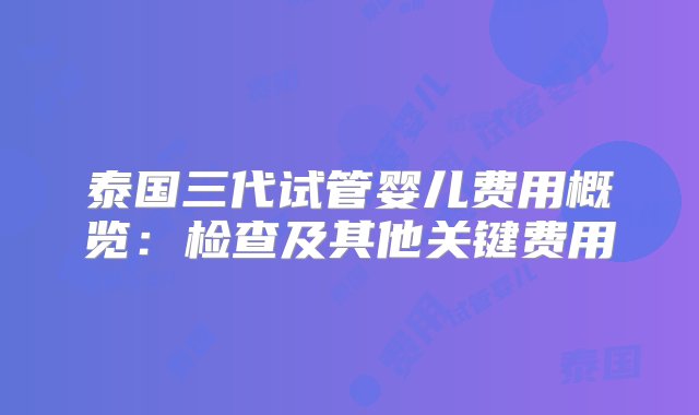 泰国三代试管婴儿费用概览：检查及其他关键费用