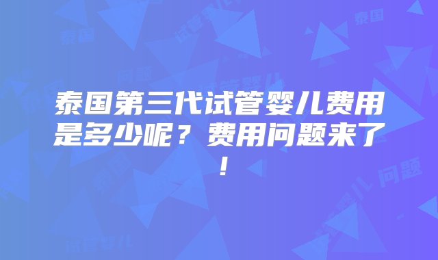 泰国第三代试管婴儿费用是多少呢？费用问题来了！