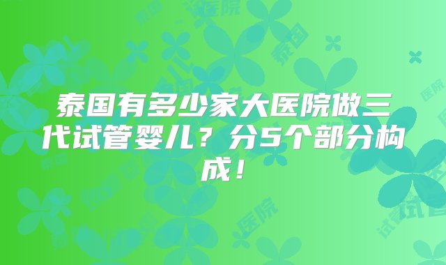 泰国有多少家大医院做三代试管婴儿？分5个部分构成！