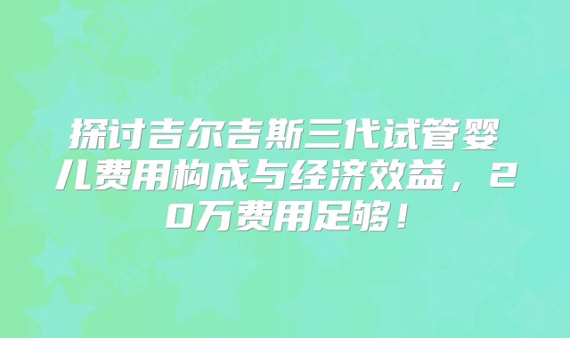 探讨吉尔吉斯三代试管婴儿费用构成与经济效益，20万费用足够！