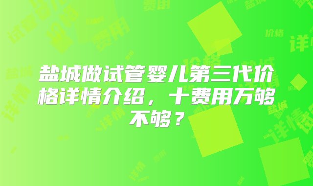 盐城做试管婴儿第三代价格详情介绍，十费用万够不够？