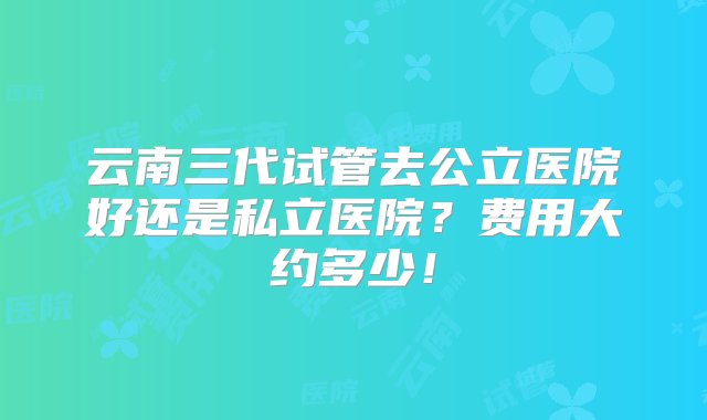 云南三代试管去公立医院好还是私立医院？费用大约多少！