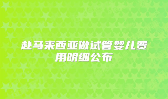 赴马来西亚做试管婴儿费用明细公布