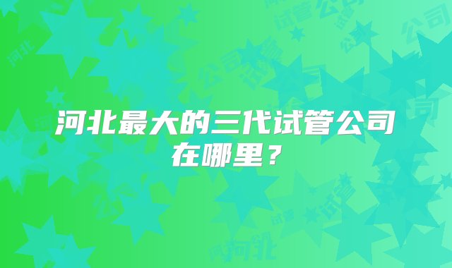 河北最大的三代试管公司在哪里？