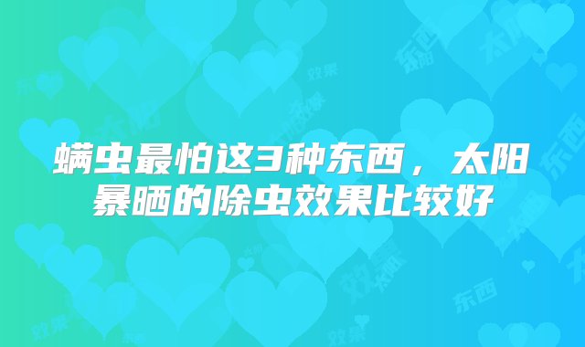 螨虫最怕这3种东西，太阳暴晒的除虫效果比较好