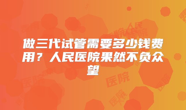 做三代试管需要多少钱费用？人民医院果然不负众望