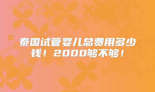 泰国试管婴儿总费用多少钱！2000够不够！