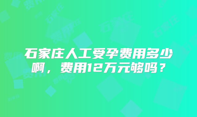 石家庄人工受孕费用多少啊，费用12万元够吗？