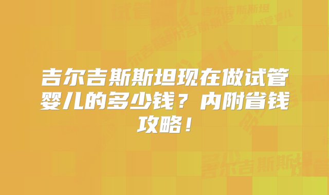 吉尔吉斯斯坦现在做试管婴儿的多少钱？内附省钱攻略！