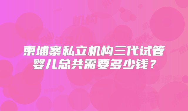 柬埔寨私立机构三代试管婴儿总共需要多少钱？