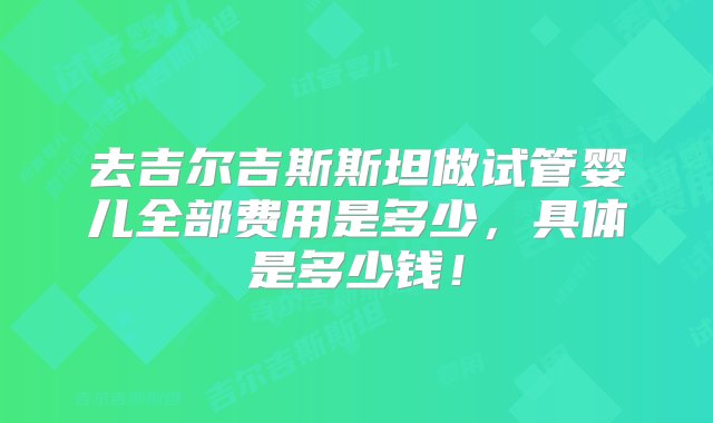 去吉尔吉斯斯坦做试管婴儿全部费用是多少，具体是多少钱！