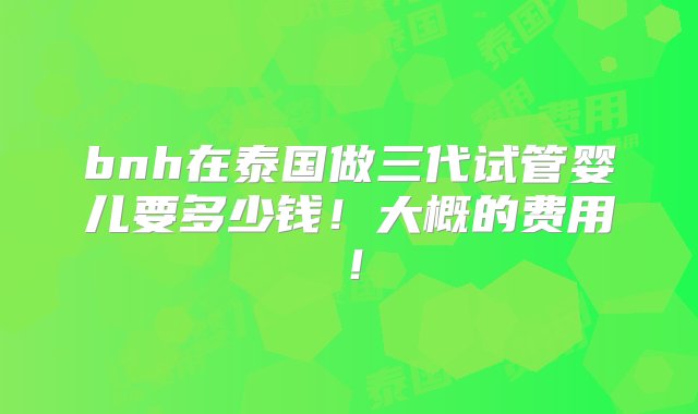 bnh在泰国做三代试管婴儿要多少钱！大概的费用！