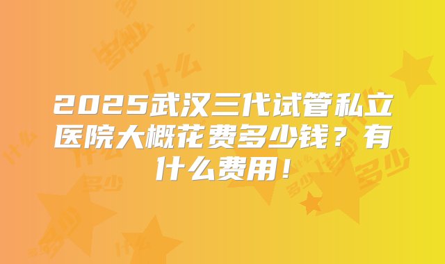 2025武汉三代试管私立医院大概花费多少钱？有什么费用！