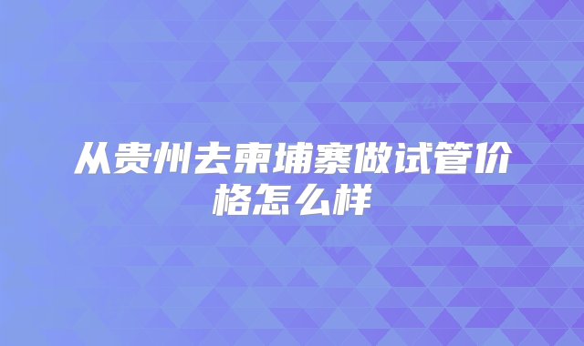 从贵州去柬埔寨做试管价格怎么样