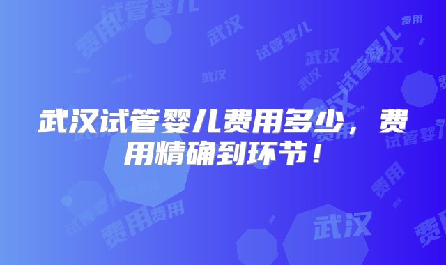 武汉试管婴儿费用多少，费用精确到环节！