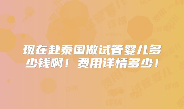 现在赴泰国做试管婴儿多少钱啊！费用详情多少！