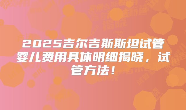 2025吉尔吉斯斯坦试管婴儿费用具体明细揭晓，试管方法！