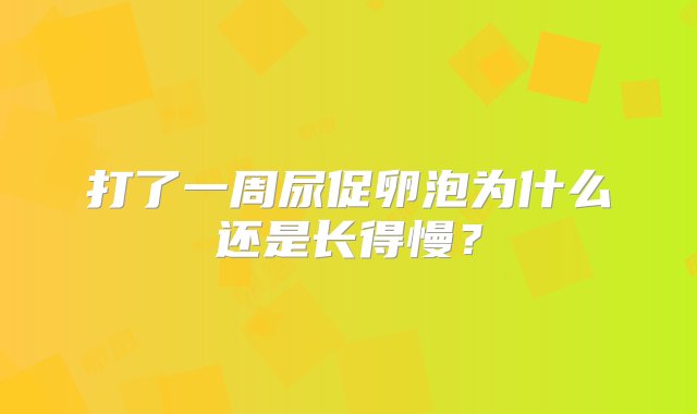 打了一周尿促卵泡为什么还是长得慢？