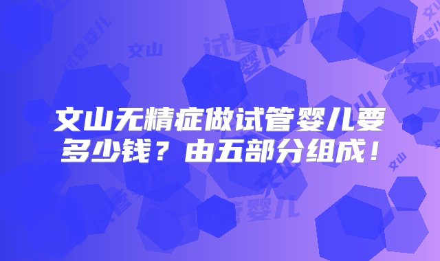 文山无精症做试管婴儿要多少钱？由五部分组成！