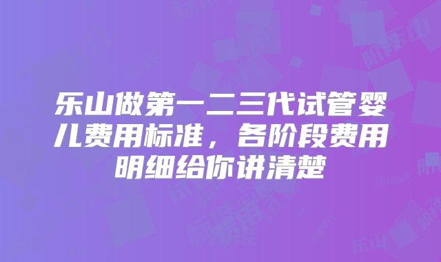 乐山做第一二三代试管婴儿费用标准，各阶段费用明细给你讲清楚