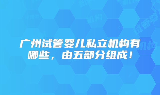 广州试管婴儿私立机构有哪些，由五部分组成！