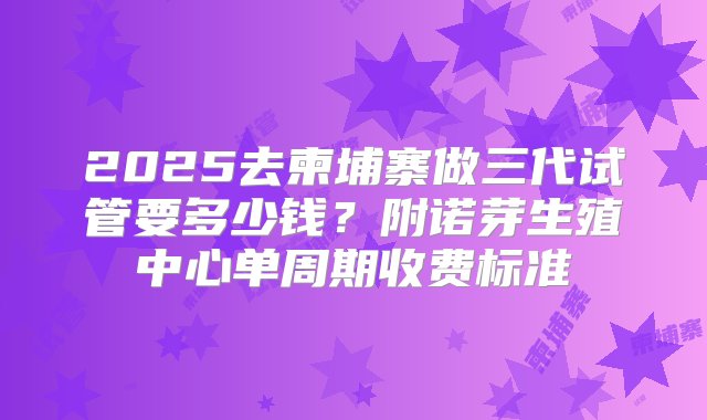 2025去柬埔寨做三代试管要多少钱？附诺芽生殖中心单周期收费标准