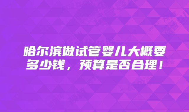 哈尔滨做试管婴儿大概要多少钱，预算是否合理！