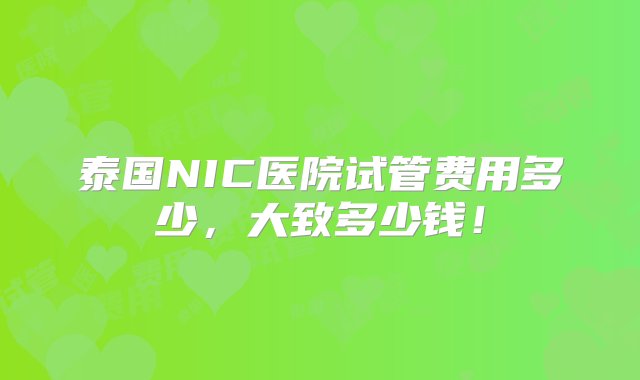 泰国NIC医院试管费用多少，大致多少钱！