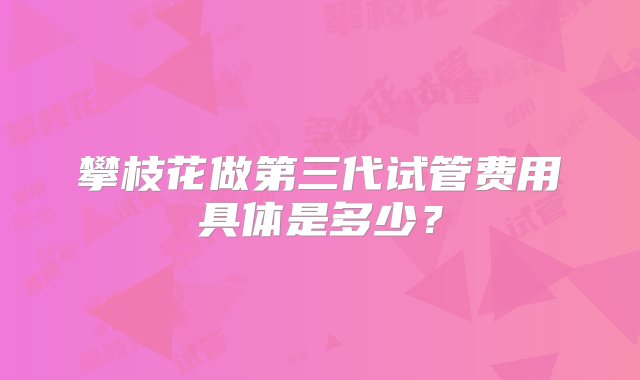 攀枝花做第三代试管费用具体是多少？