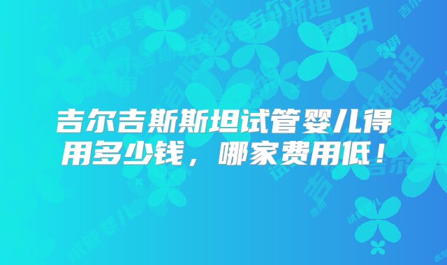 吉尔吉斯斯坦试管婴儿得用多少钱，哪家费用低！