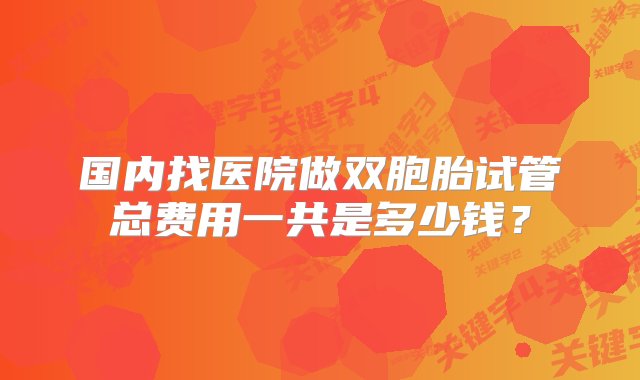 国内找医院做双胞胎试管总费用一共是多少钱？