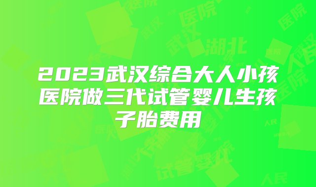 2023武汉综合大人小孩医院做三代试管婴儿生孩子胎费用