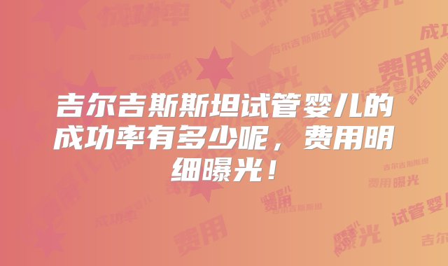 吉尔吉斯斯坦试管婴儿的成功率有多少呢，费用明细曝光！