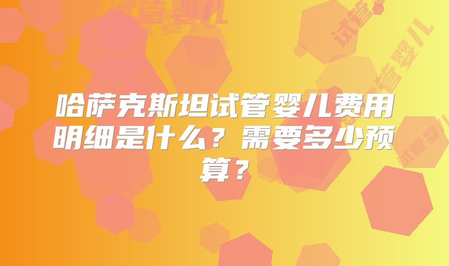 哈萨克斯坦试管婴儿费用明细是什么？需要多少预算？