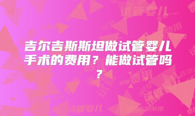 吉尔吉斯斯坦做试管婴儿手术的费用？能做试管吗？