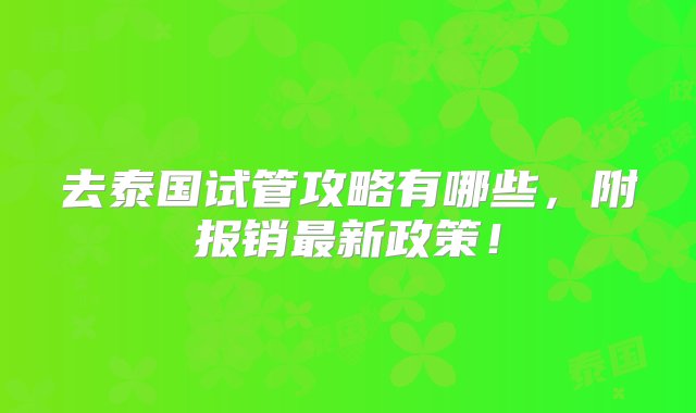 去泰国试管攻略有哪些，附报销最新政策！