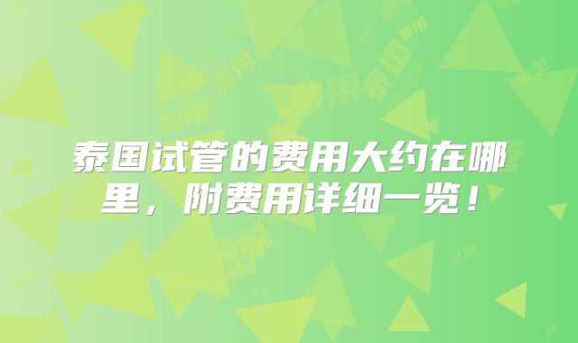 泰国试管的费用大约在哪里，附费用详细一览！