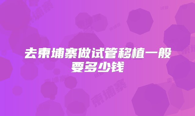 去柬埔寨做试管移植一般要多少钱