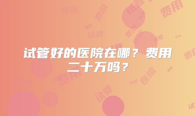 试管好的医院在哪？费用二十万吗？