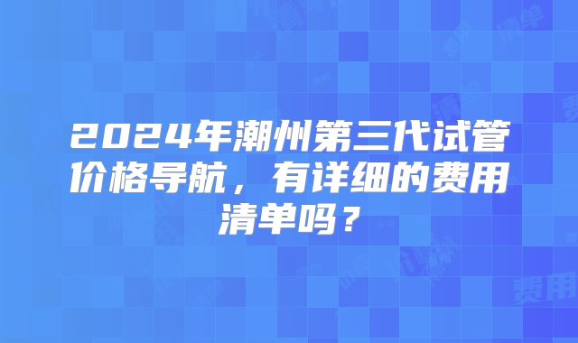 2024年潮州第三代试管价格导航，有详细的费用清单吗？