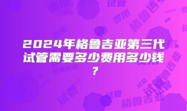 2024年格鲁吉亚第三代试管需要多少费用多少钱？