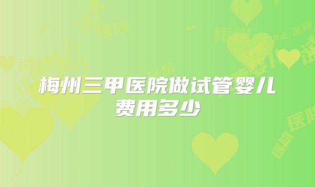 梅州三甲医院做试管婴儿费用多少