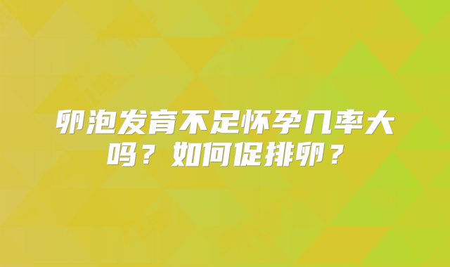 卵泡发育不足怀孕几率大吗？如何促排卵？