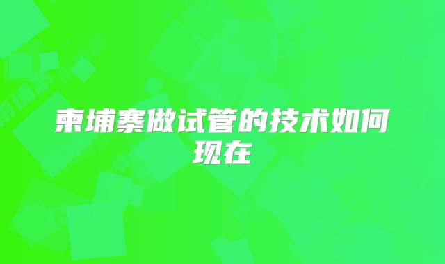 柬埔寨做试管的技术如何现在