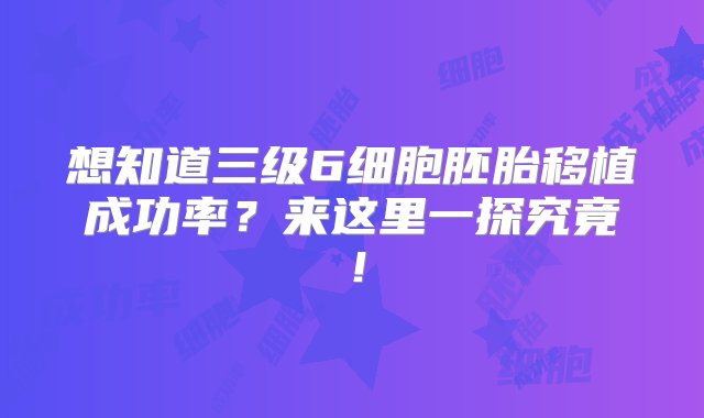 想知道三级6细胞胚胎移植成功率？来这里一探究竟！