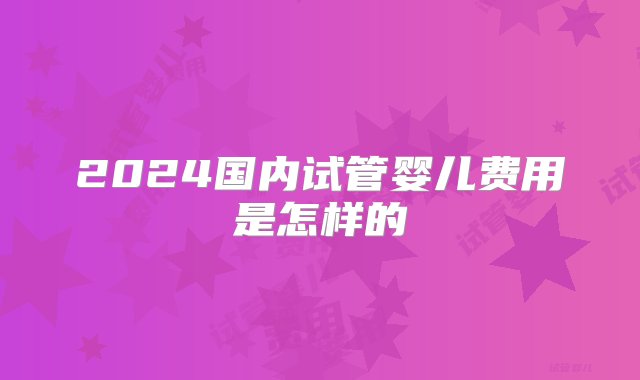 2024国内试管婴儿费用是怎样的