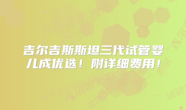 吉尔吉斯斯坦三代试管婴儿成优选！附详细费用！