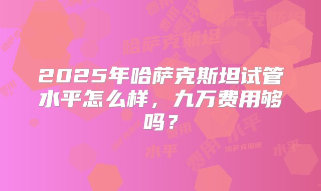 2025年哈萨克斯坦试管水平怎么样，九万费用够吗？